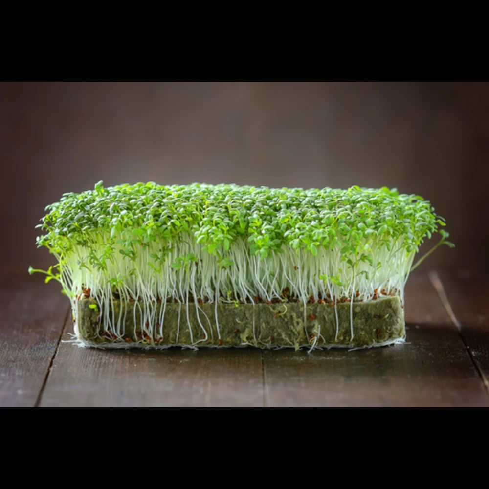 Кресс-салат